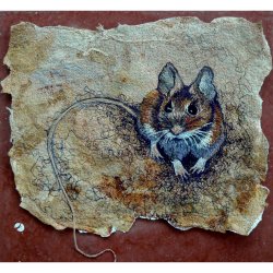 Travelling Medicine Mouse